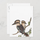 ゴールド コオカバッタ オーストラリアン 案内ポストカード (正面/裏面)