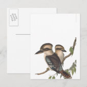 ゴールド コオカバッタ オーストラリア 案内ポストカード (正面/裏面)