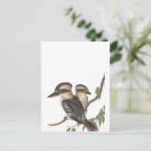 ゴールド コオカブッリ オーストラリアーナ 案内ポストカード (スタンド正面)