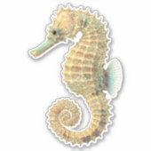 ゴールド ティール シーホース シール (正面)