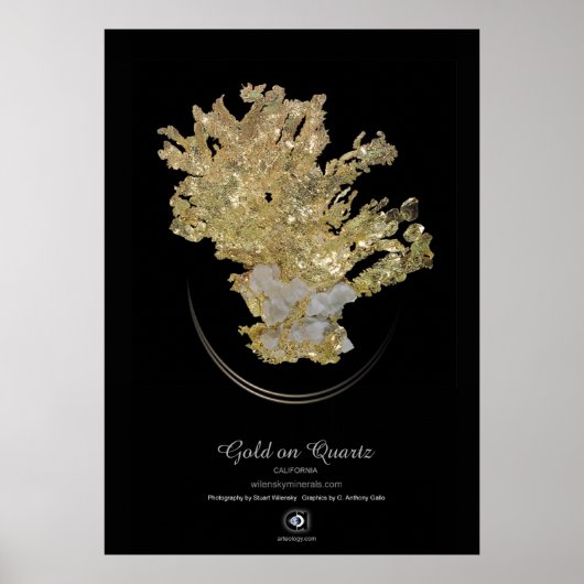 ゴールド ポスター (正面)
