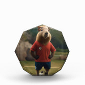 「ゴール得点キャピバラ:究極のサッカーのスター!」 フォトブロック (正面)