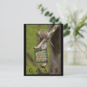 ゴール感動的リスおもしろいルポストカード ポストカード (スタンド正面)