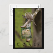 ゴール感動的リスおもしろいルポストカード ポストカード (正面/裏面)