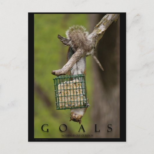 ゴール感動的リスおもしろいルポストカード ポストカード (正面)