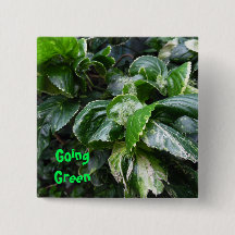 ゴーンググリーンハウスの植物