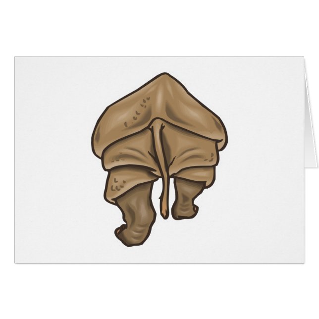 サイお尻 (正面横)