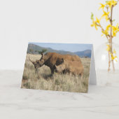 サイのお母さん及びベビー カード (黄色い花)