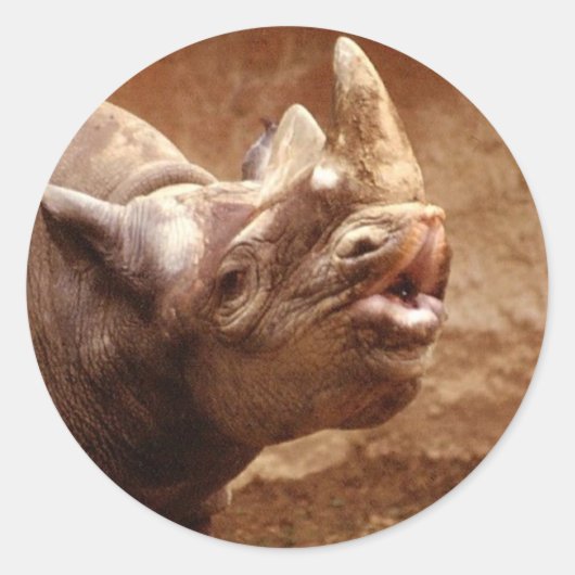 サイのステッカー ラウンドシール (正面)