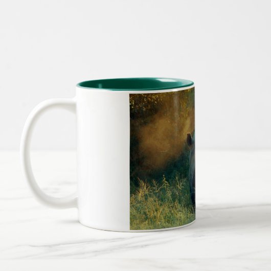 サイの凝視のコーヒー・マグ及びコップ ツートーンマグカップ (左)