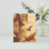 サイの愛 ポストカード (スタンド正面)