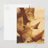 サイの愛 ポストカード (正面/裏面)