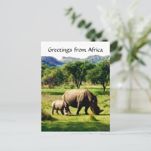 サイの挨拶 ポストカード (スタンド正面)