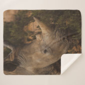 サイの野生動物 シェルパブランケット (正面(横))