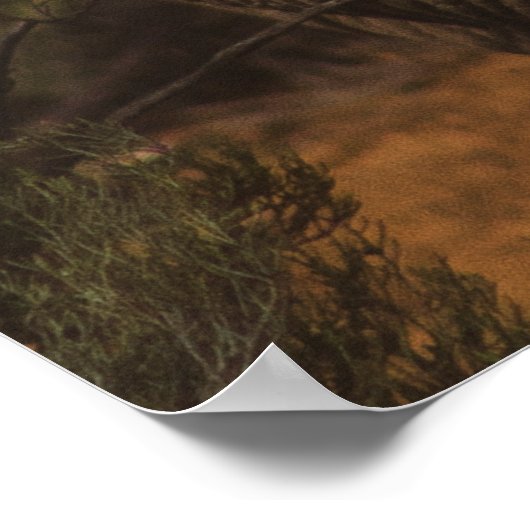 サイの野生動物 ポスター (角)