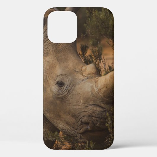 サイの野生動物 Case-Mate iPhoneケース (裏面)