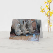 サイの飲料水カード カード (黄色い花)