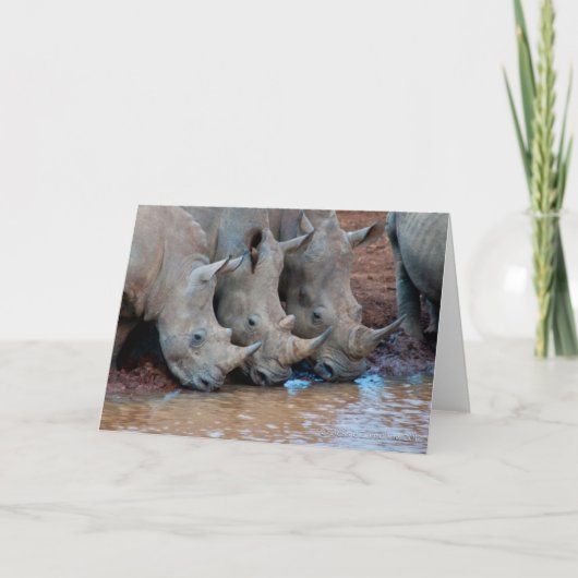 サイの飲料水カード カード (正面)