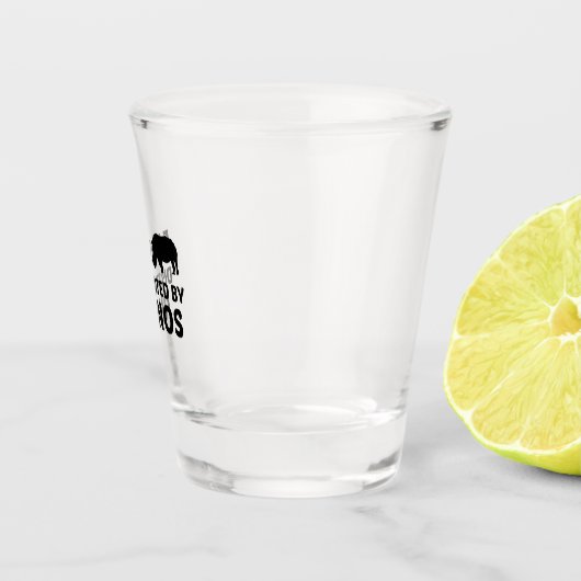 サイは気が散りやすい ショットグラス (右)