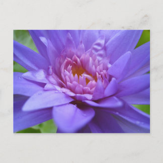 サイアム王 ポストカード