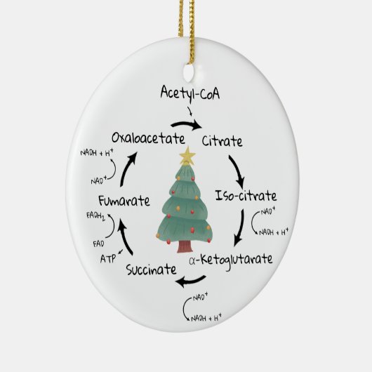 サイエンスバイオロジークレイズサイクルクリスマス先生名 セラミックオーナメント (右)