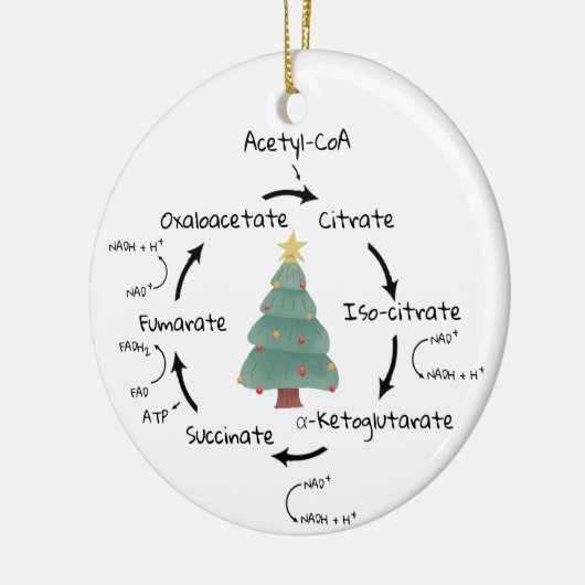 サイエンスバイオロジークレイブサイクルクリスマス先生 セラミックオーナメント (左)