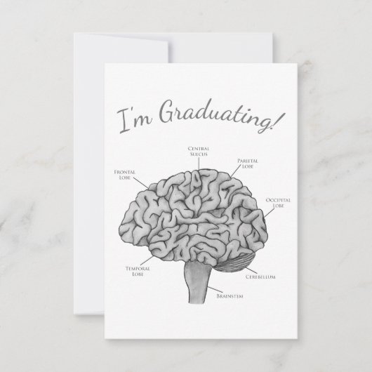 サイエンティフィック ブレイン 案内状 (正面)