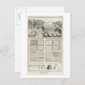 「サイエ百科事典」から採れた植物園 ポストカード (正面/裏面)