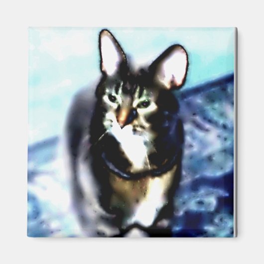 サイカデリック子猫 マグネット (正面)