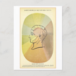 サイキックライトとカラー解剖図 ポストカード