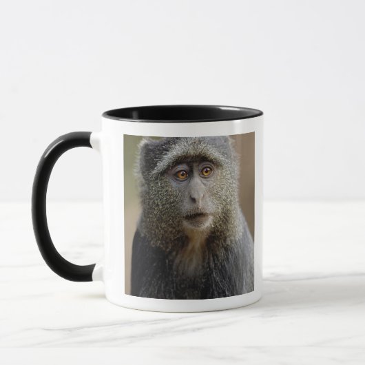 サイクスモンキーまたはブルーモンキー Cercopithecus mitis マグカップ (左)
