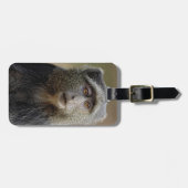 サイクスモンキーまたはブルーモンキー、 Cercopithecus mitis ラゲッジタグ (正面横)