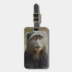 サイクスモンキーまたはブルーモンキー、 Cercopithecus mitis ラゲッジタグ