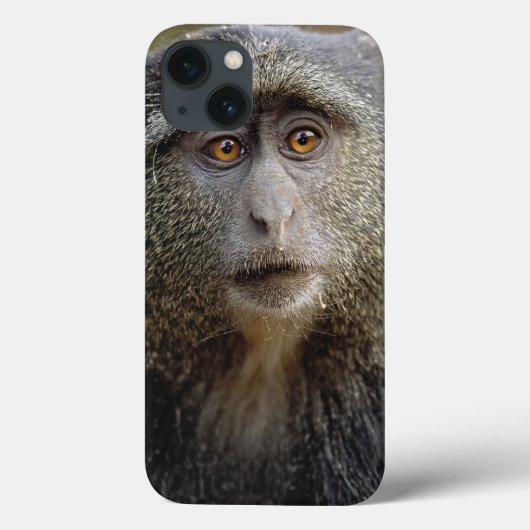 サイクスモンキーまたはブルーモンキー、 Cercopithecus mitis, Case-Mate iPhoneケース (裏面)