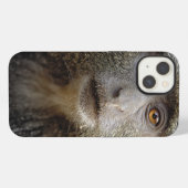 サイクスモンキーまたはブルーモンキー、 Cercopithecus mitis, iPhoneケース (裏面横)
