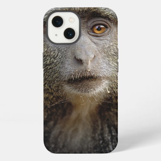 サイクスモンキーまたはブルーモンキー、 Cercopithecus mitis, iPhoneケース (裏面)