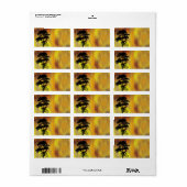 サイクリスト住所 シール (フルシート)