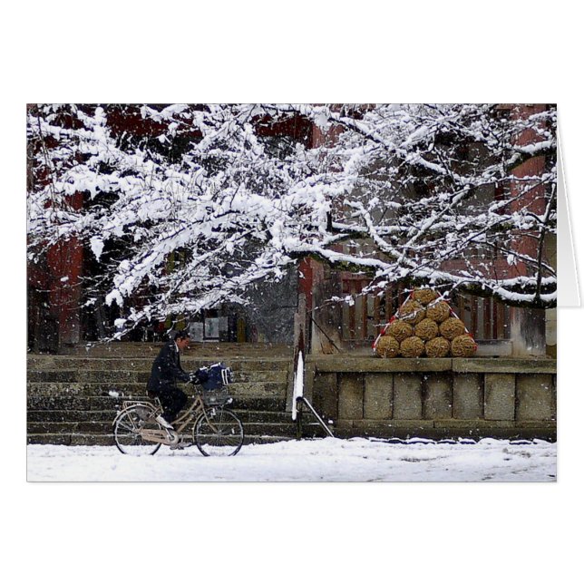 サイクリングの雪 (正面横)