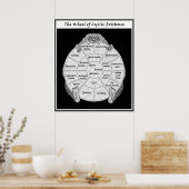 サイクリングアスティネスターホイール ポスター (キッチン)