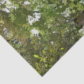 サイクリング 薄葉紙 (詳細)