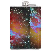 サイクロンオルブズ フラスク (裏面)