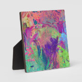 サイケデリック魚 フォトプラーク (正面)