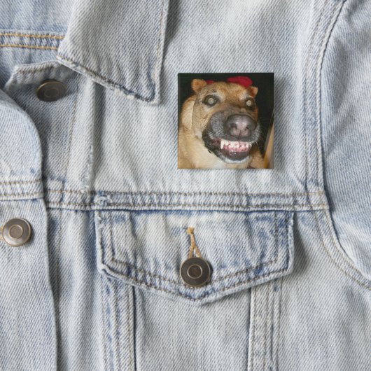 サイコドイツの羊飼い犬の恐ろしい悪 缶バッジ (インサイチュ)