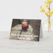 サイコロはジャーク悔やみや弔慰カード カード (黄色い花)