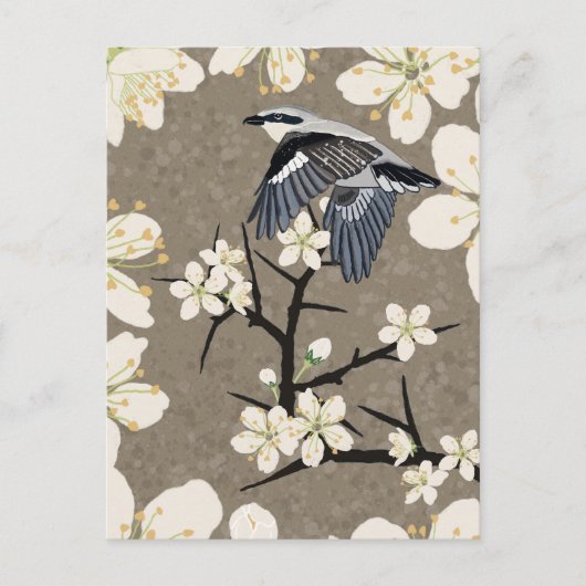 サイスポット シーズンポストカード (正面)