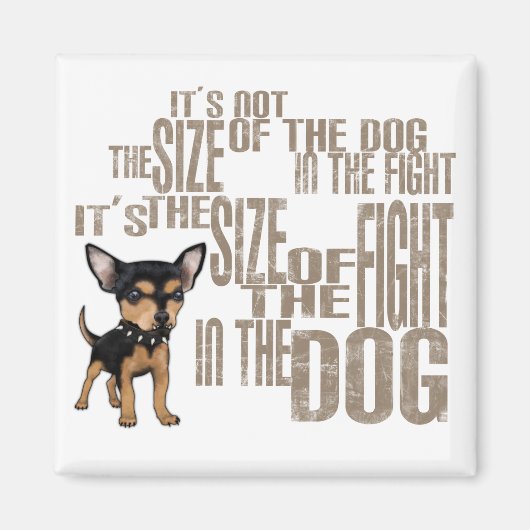 サイズが違う マグネット (正面)