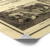 サイズ、人口オニーのグラフ ポスター (角)