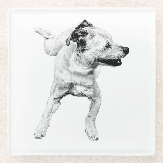 サイダーテーブル、明るい基点 ガラスコースター (正面)