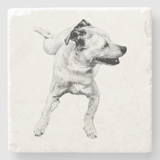 サイダーテーブル、明るい基点 ストーンコースター (正面)