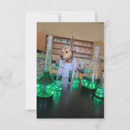 サイティおもしろいストかわいい犬の本のコスチュームnotecard サンキューカード